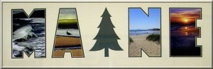 Tree 1 Tree 1