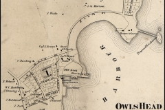 Owls-Head